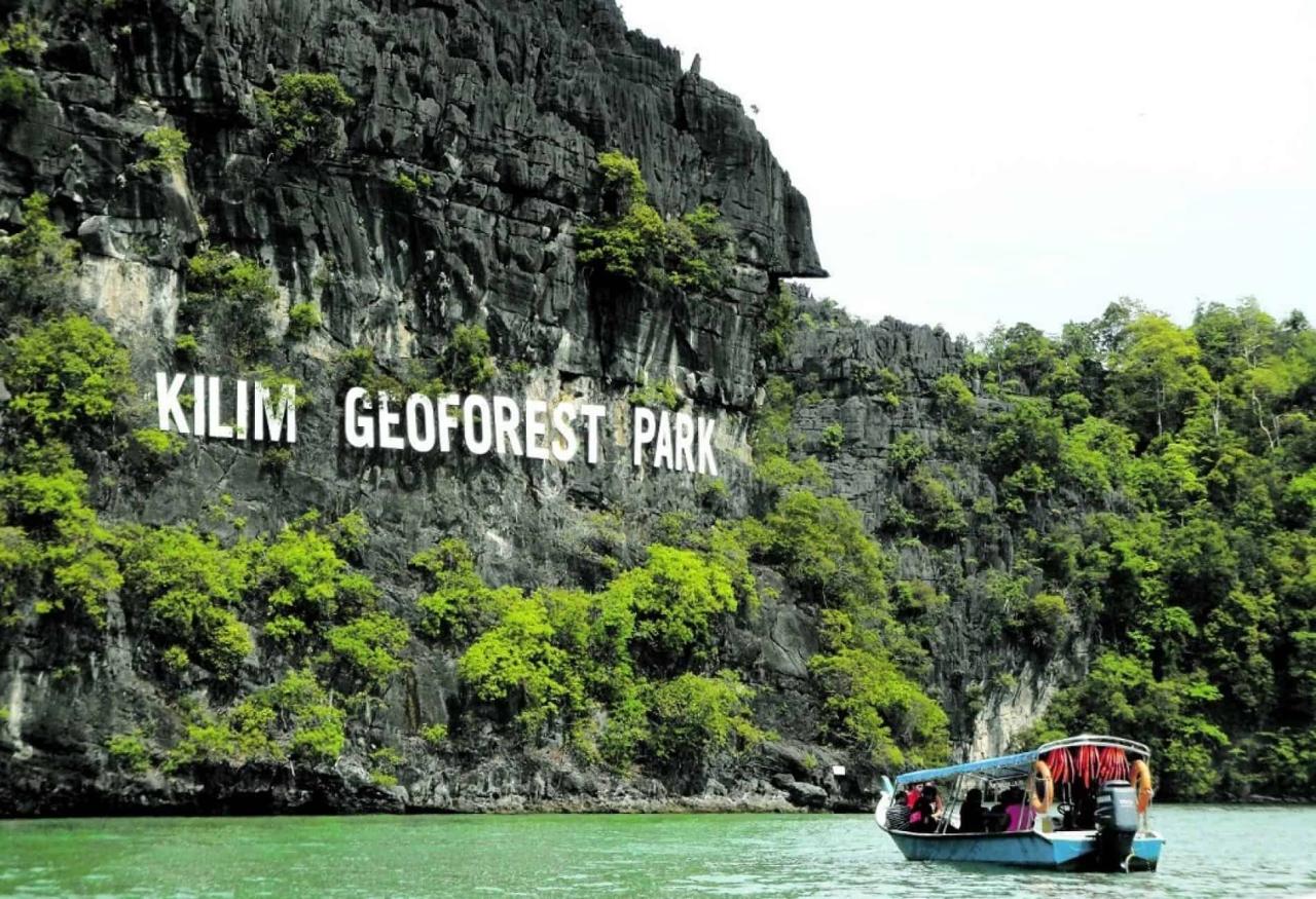 Eksplorasi Ekosistem Mangrove yang Menakjubkan: Mangrove Tour Langkawi